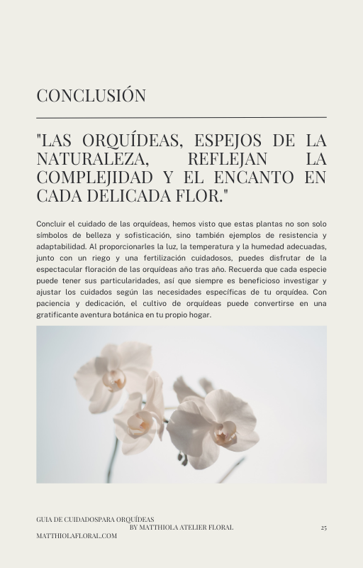 Orquídeas en Flor: Guía esencial para su cuidado y florecimiento