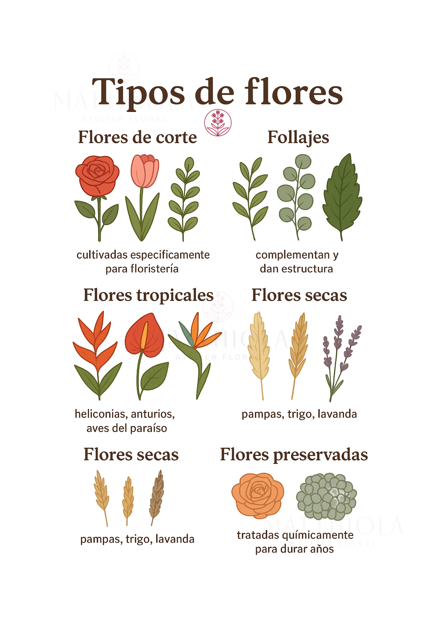 Raíces y Pétalos:  Guía práctica para crear y crecer tu florería