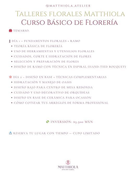 Curso de Florería Básica para Principiantes