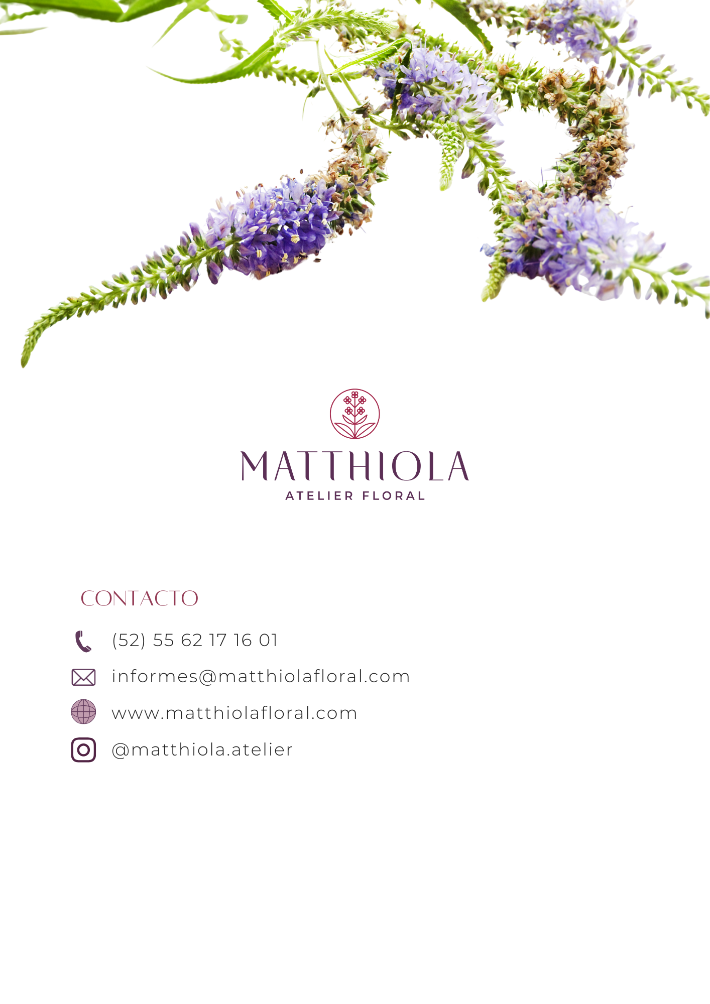 Raíces y Pétalos:  Guía práctica para crear y crecer tu florería