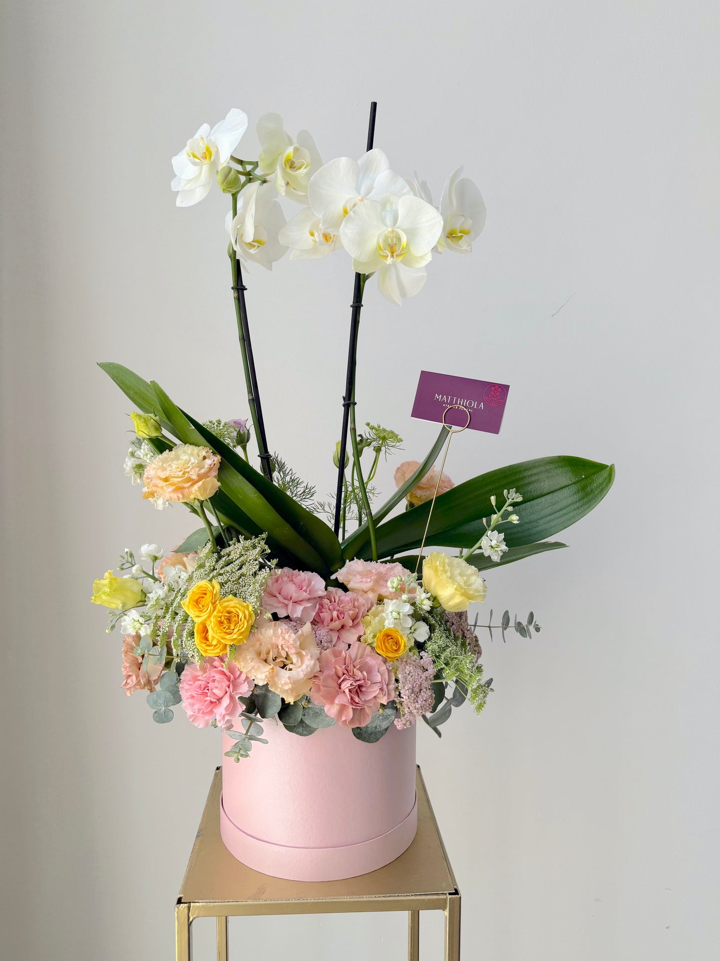 Orquídea en Caja Decorada