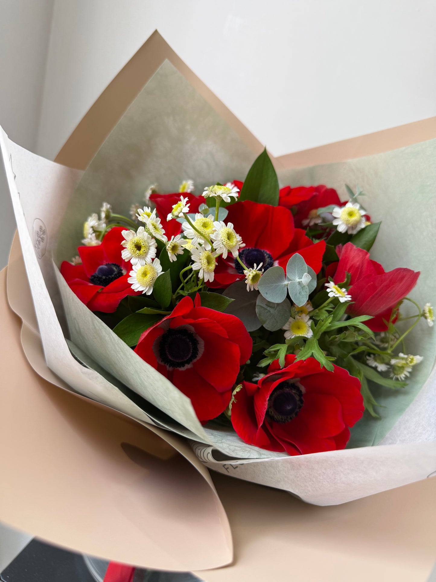 Ramo de 10 Anémonas Rojas con Follaje