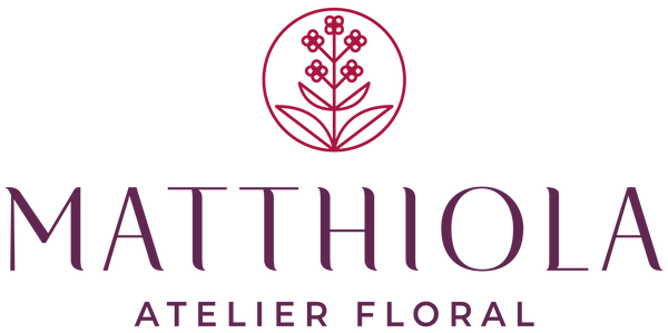 Matthiola Atelier Floral